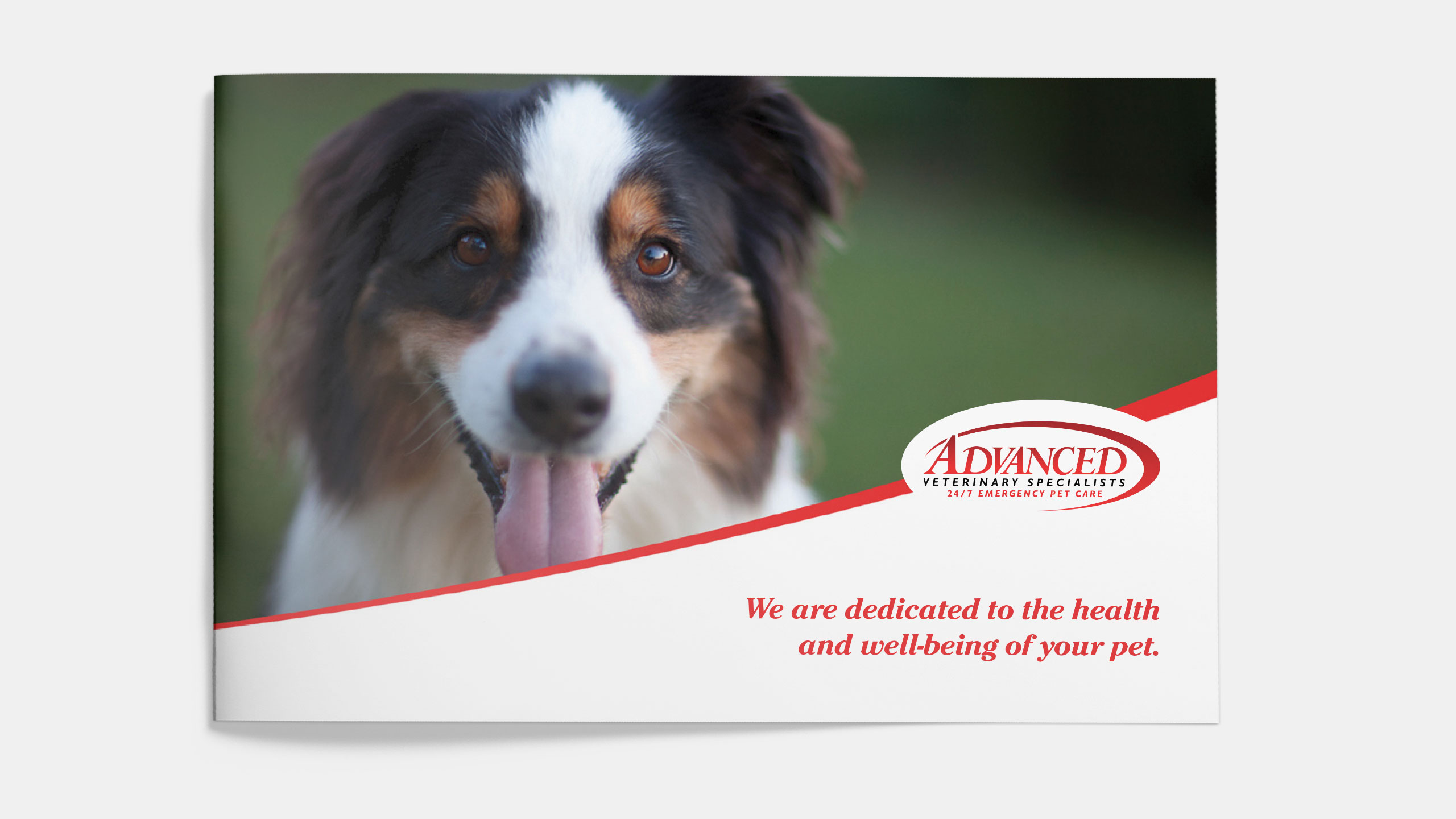 Advanced Veterinary Specialists