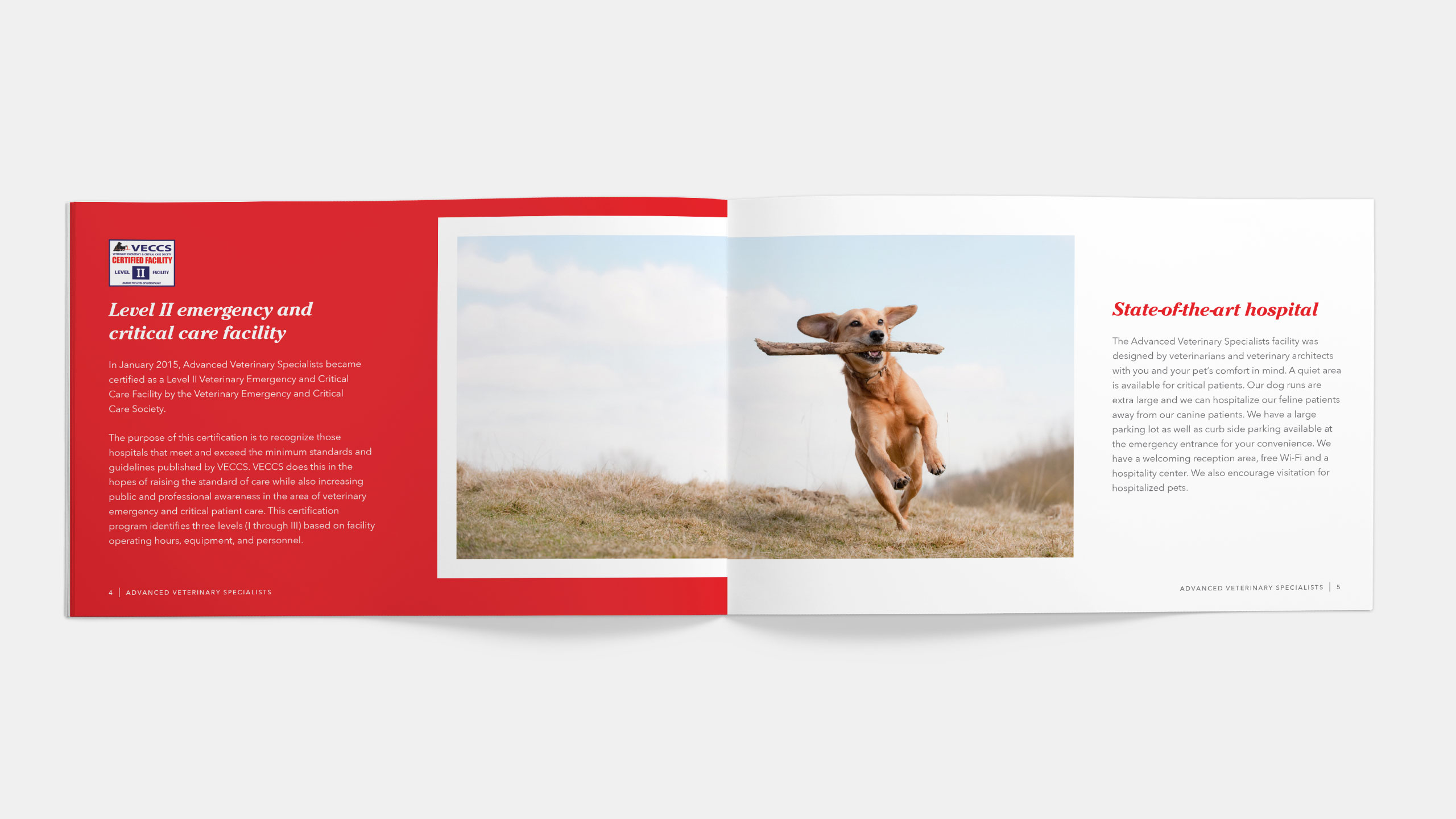 Advanced Veterinary Specialists